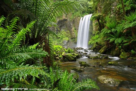 Lush Rainforest Paradise Hopetoun Falls Otway Ranges Near Flickr