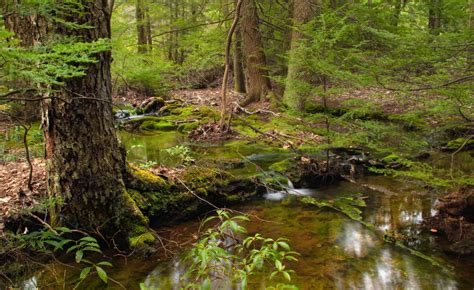 Free Images Tree Water Nature Wilderness Trail Building River