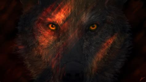 2048x1152 Wild Wolf Eyes 2048x1152 Resolution Hd 4k Wallpapers Images
