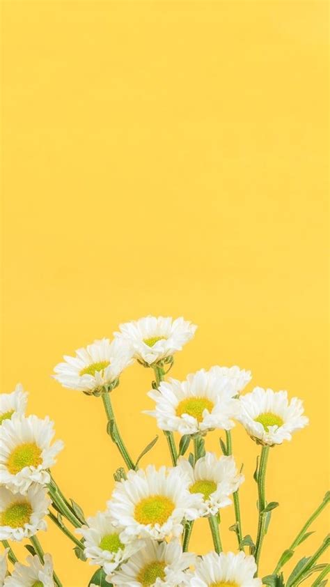 Pastel Yellow Aesthetic Wallpapers Top Free Pastel