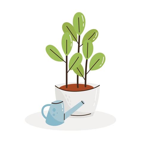 Premium Vector Potted Plant And Watering Can