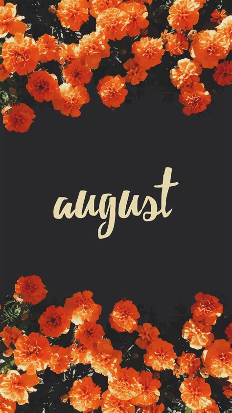 Free Download Freebie August Desktop Wallpapers Every Tuesday 1200x580