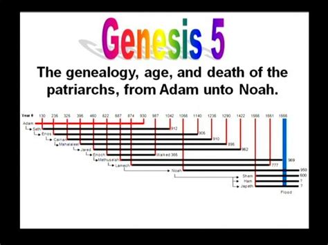 Genesis 5 Genealogy Adam Noah On Vimeo
