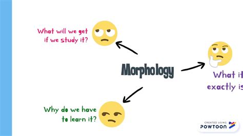 Morphology Introduction Youtube