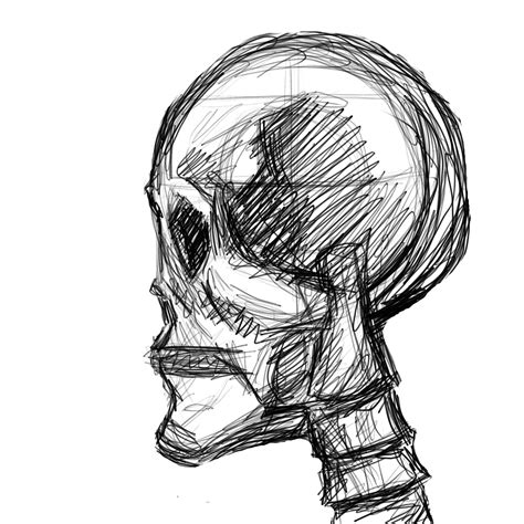 Skull Side View Drawing At Getdrawings Free Download