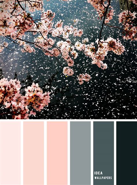 19 The Perfect Pink Color Combinations Black Blush Pink Grey