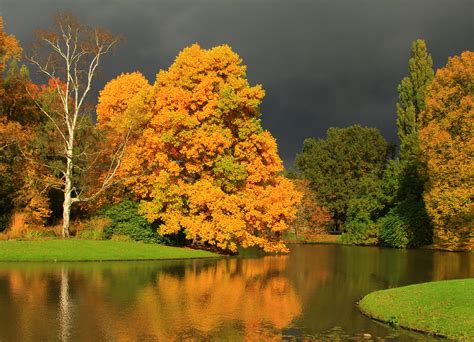 обои парк Осень Деревьями Белое Зеленый воды Цены расширенных