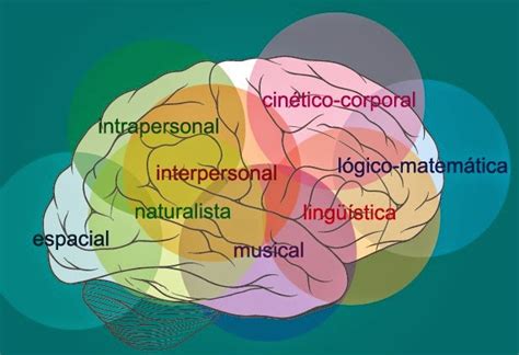 Inteligencias M Ltiples Nuestro Cerebro Y Las Inteligencias M Ltiples
