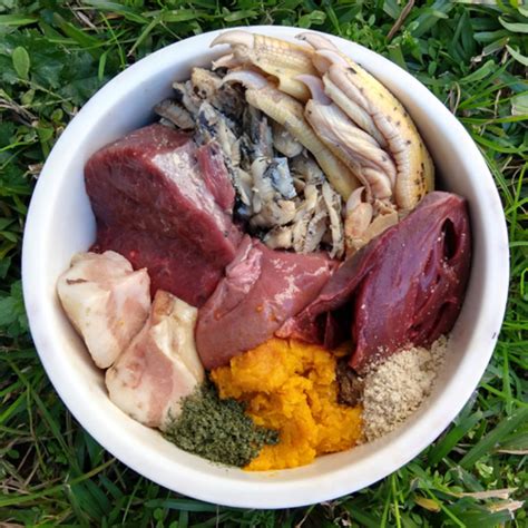 We intend to source the best raw products from ethical producers in the westcountry. What is the Raw Dog Food Diet? Benefits, Risks, and Key ...