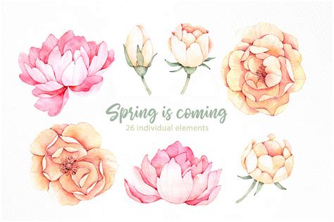 Spring Is Coming Watercolor Set By Katemacate Thehungryjpeg