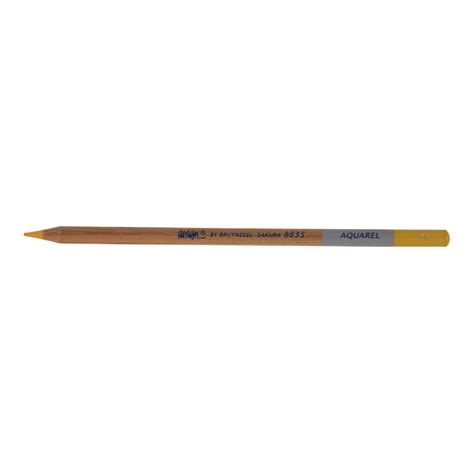 Buy Bruynzeel Aquarelle Pencil Deep Yellow 22