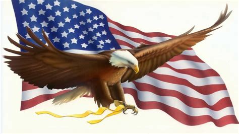American Flag Bald Eagle Symbols Desktop Wallpaper Hd For