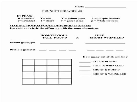 We did not find results for: 50 Punnett Square Practice Worksheet Answers in 2020 ...