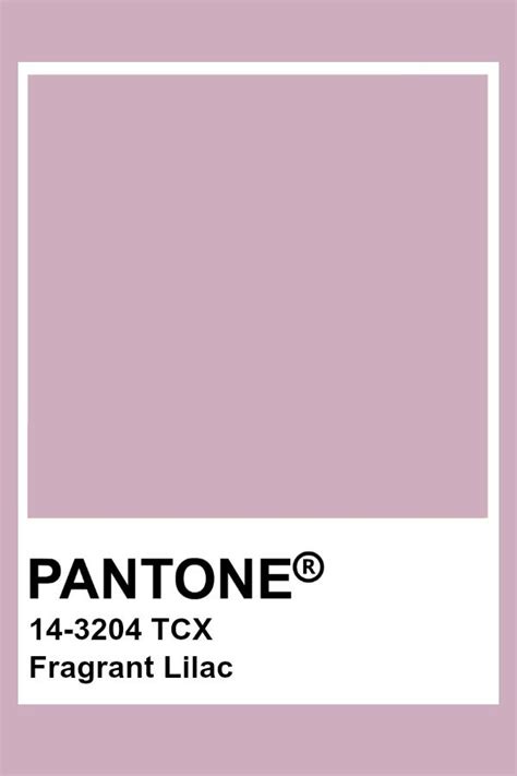 Pantone Tpg Sheet Fragrant Lilac Pantone Canada Polycolors The Best Porn Website