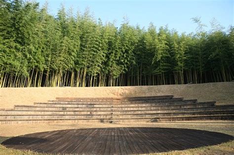 Bamboo garden of chris and janet derosa, rockport, massachusetts: 70 bamboo garden design ideas - how to create a ...