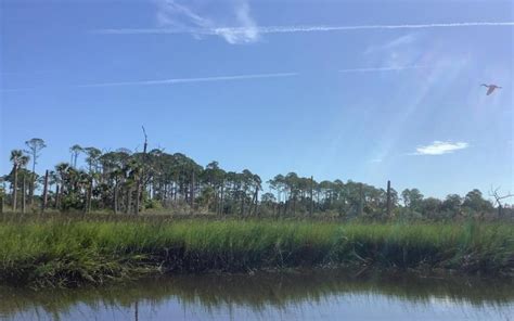 North Florida Land Trust Joins The South Atlantic Salt Marsh Initiative