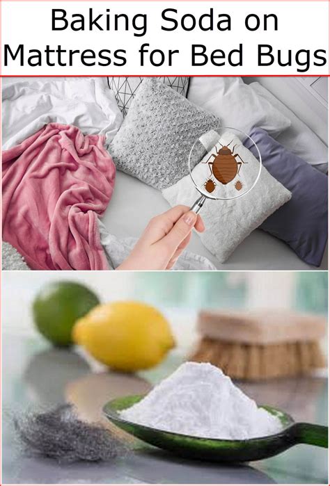 Baking Soda On Mattress For Bed Bugs Baking Soda Uses And Diy Home