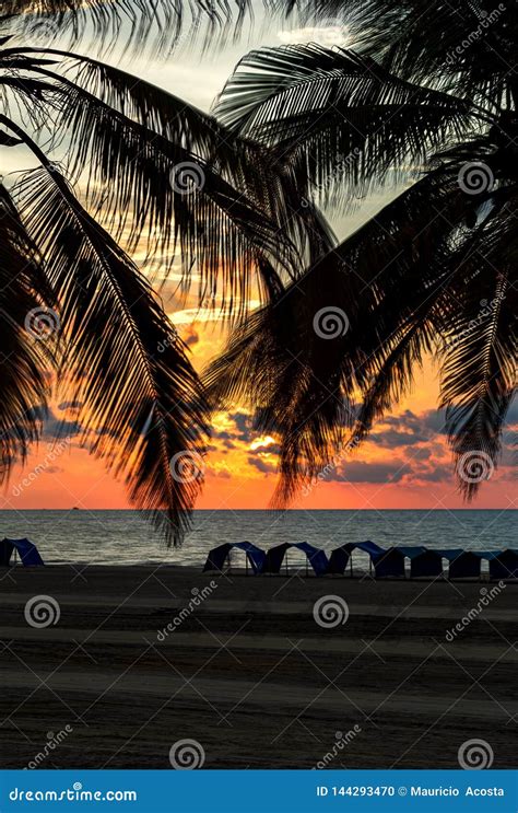 Sunset In A Deserted Beach Stock Photo Image Of Summer 144293470
