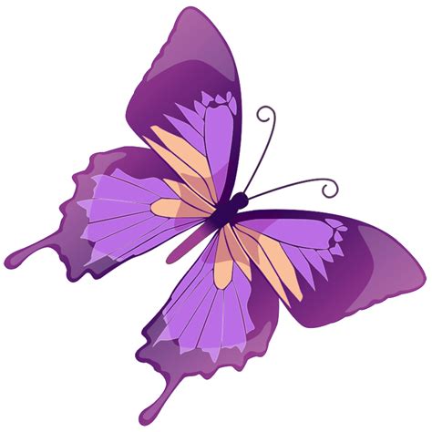 Purple Butterfly Clip Art - ClipArt Best png image