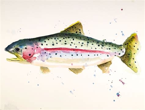 Watercolour Trout Watercolor Fly Fishing Art Fly Fishing T Fly