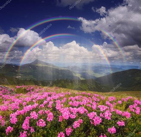 Rainbow Over The Mountain Flowers Stock Photo By ©kotenko 48427227