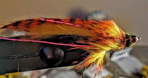 A flag that streams in the wind especially : Secret to Tying Articulated Streamers | MidCurrent