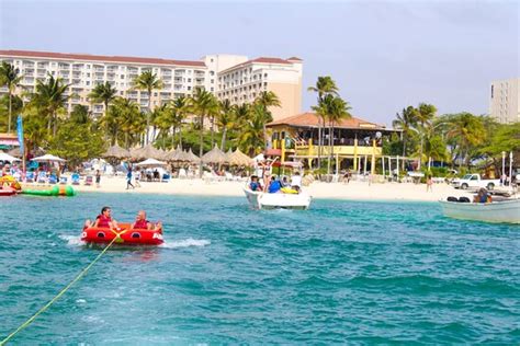 Skyview Watersports Aruba Palm Eagle Beach Tripadvisor