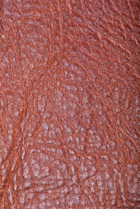 Brown Leather Texture Macro Stock Photo Image Of Leather Rough 60522170