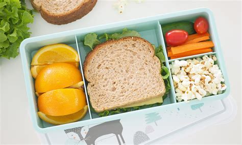 2019 Guide To Choosing The Best School Lunch Box For Kids The