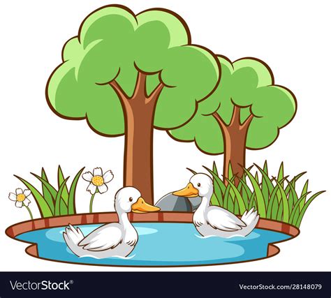 Isolated Picture Two Ducks In Pond Royalty Free Vector Image