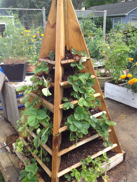 Strawberry Tower Backyard Homestead Square Foot Gardening Vegetable