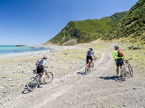 Riders At Mukamuka Stream Remutaka Rimutaka Cycle Trail One Of Nzs