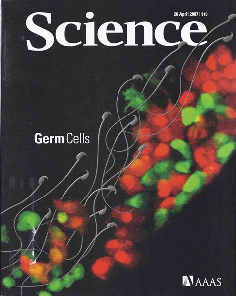 Science 20 April 2007 Special Issue Germ Cells G Goshima Genes