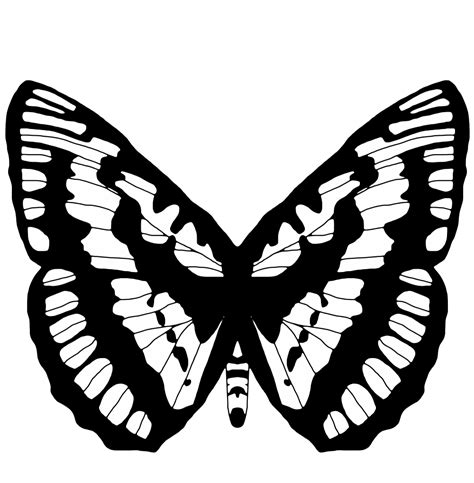 Onlinelabels Clip Art Black And White Butterfly 2