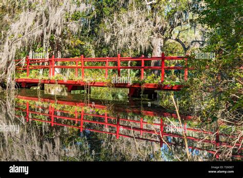 Magnolia Plantation Hi Res Stock Photography And Images Alamy