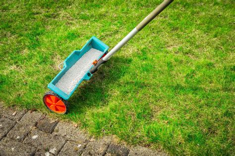 When Should I Fertilize My Lawn Cleanr Property Maintenance