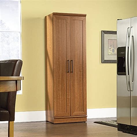 Homeplus Storage Cabinet In Sienna Oak Sauder 411963