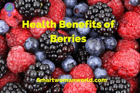 Health Benefits of Berries: Different Types of Berries To Eat