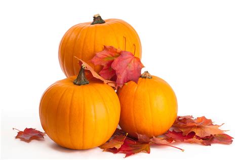 Pumpkin Preparation Tips — So Smart — For Halloween And The Fall