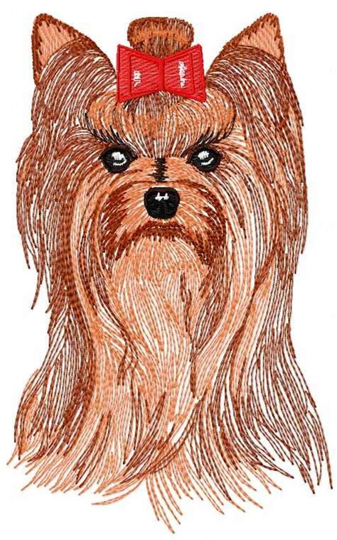 Download yorkie embroidery design by dakota collectibles which is 6.13 inches h x 4.98 inches w and many more embroidery designs. Yorkshire terrier free embroidery design - Free embroidery ...