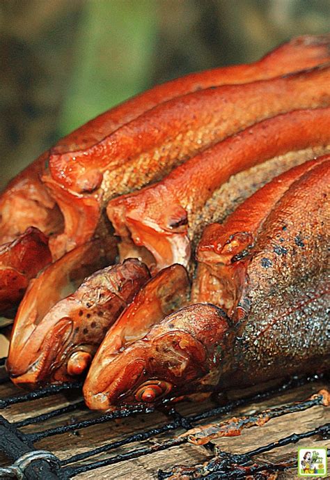 Smoked Trout Recipe This Mama Cooks On A Diet