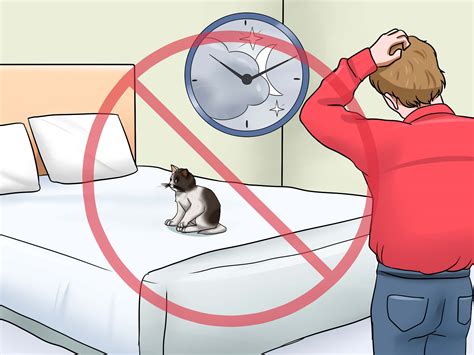 3 Ways To Calm Down A Kitten Wikihow