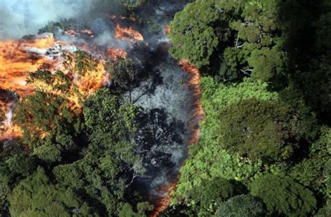 Kebakaran hutan/lahan yang terjadi baik antar negara maupun antar provinsi di indonesia bukan spesifik negara, ekosistem, masyarakat. Musim Kemarau Segera Datang Menjelang! Jangan Sampai Lagi ...