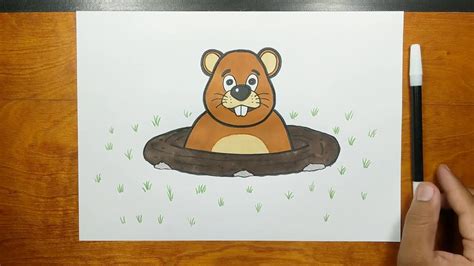 How To Draw And Coloring Groundhog Step By Step Youtube