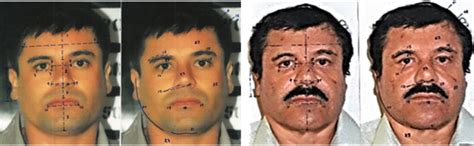 Noticias sobre joaquín 'el chapo' guzmán. Shorty's lessons: 5 things 'El Chapo' Guzman's arrest teaches us