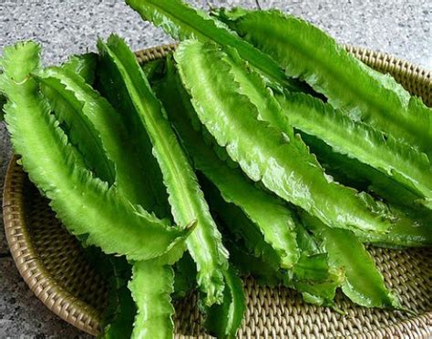Winged beans are also known as goa bean, asparagus pea and winged pea. Sigarilyas Or Winged Bean | HubPages