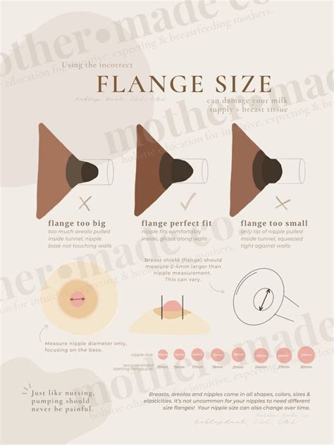 Flange Size Posterhandout Breast Anatomy Lactation Etsy Denmark
