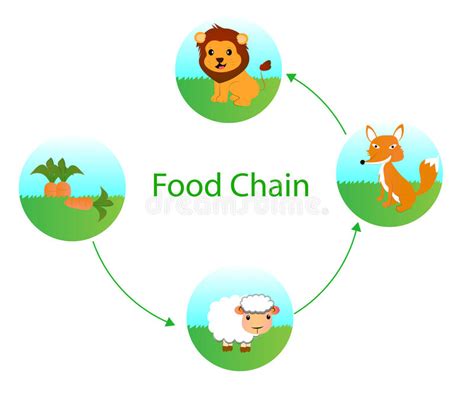 Food Chain Vector Clipart Illustrations 1254 Food Chain Clip Art Images