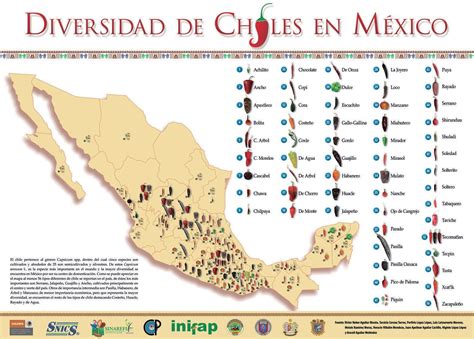 Mapa Geográfico Del Cultivo Del Chile Nutrition Infographic Mexico Map