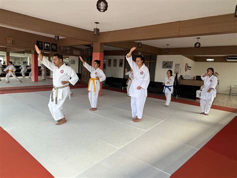 Aula De Karate Feminino